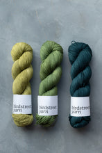 Load image into Gallery viewer, Mojito - 4ply - Hand-dyed yarn