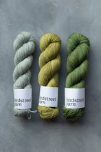 Load image into Gallery viewer, Mojito - 4ply - Hand-dyed yarn
