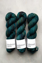 Load image into Gallery viewer, Dark Waters - 4ply - Hand-dyed yarn