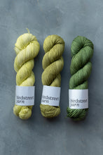 Load image into Gallery viewer, Mojito - 4ply - Hand-dyed yarn