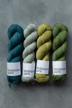 Load image into Gallery viewer, Mojito - 4ply - Hand-dyed yarn