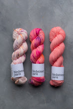 Load image into Gallery viewer, Hi Fidelity - 4ply - Hand-dyed yarn