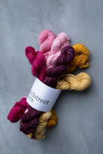 Load image into Gallery viewer, Winter Rays - DK Minis Set