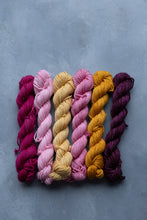 Load image into Gallery viewer, Winter Rays - DK Minis Set