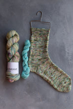 Load image into Gallery viewer, And... Away! Tellybox Sock Club - March