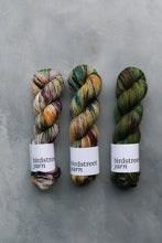 Load image into Gallery viewer, Falling With Style - 4ply - Hand-dyed yarn