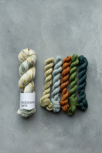 Load image into Gallery viewer, Beachcomber Minis Set - 4ply - 5x20g minis