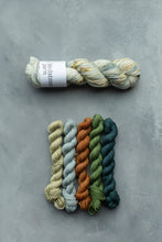 Load image into Gallery viewer, Beachcomber Minis Set - 4ply - 5x20g minis