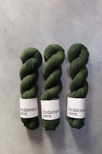 Load image into Gallery viewer, Cairngorms - 4ply - Hand-dyed yarn (Yak 70)