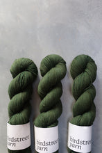 Load image into Gallery viewer, Cairngorms - 4ply - Hand-dyed yarn (Yak 70)