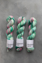 Load image into Gallery viewer, Christmas At Barbie's - 4ply