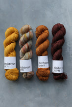 Load image into Gallery viewer, Conkers At Dawn - 4ply - Hand-dyed yarn