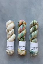 Load image into Gallery viewer, One Little Speckled Frog - 4ply - Hand-dyed yarn