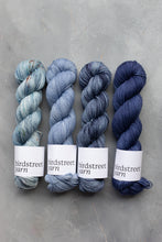 Load image into Gallery viewer, Cuckoo's Quilt - 4ply - Hand-dyed yarn