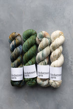 Load image into Gallery viewer, One Little Speckled Frog - 4ply - Hand-dyed yarn