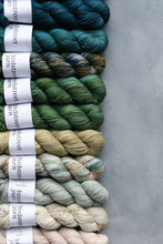 Load image into Gallery viewer, One Little Speckled Frog - 4ply - Hand-dyed yarn