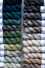 Load image into Gallery viewer, One Little Speckled Frog - 4ply - Hand-dyed yarn