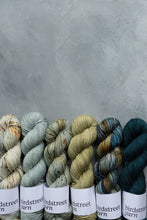 Load image into Gallery viewer, Daymer Bay - DK - Hand-dyed yarn