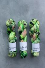 Load image into Gallery viewer, Defying Gravity - 4ply - Merino 75 and Zebra