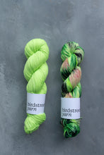 Load image into Gallery viewer, Defying Gravity - 4ply - Merino 75 and Zebra