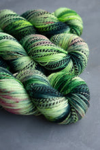 Load image into Gallery viewer, Defying Gravity - 4ply - Merino 75 and Zebra