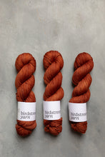 Load image into Gallery viewer, Foxy- DK - Hand-dyed yarn
