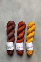 Load image into Gallery viewer, Foxy- DK - Hand-dyed yarn