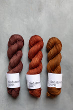 Load image into Gallery viewer, Foxy- DK - Hand-dyed yarn