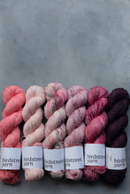 Load image into Gallery viewer, French Earl Grey - 4ply Hand-dyed yarn