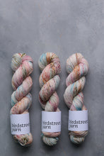 Load image into Gallery viewer, Friluftsliv - 4ply - hand dyed yarn