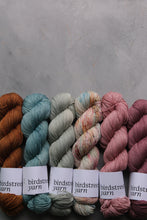 Load image into Gallery viewer, Friluftsliv - 4ply - hand dyed yarn