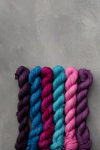 Load image into Gallery viewer, Feel The Power Minis Set - 4ply - 6x20g minis