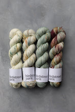 Load image into Gallery viewer, One Little Speckled Frog - 4ply - Hand-dyed yarn