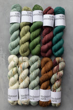 Load image into Gallery viewer, Kelp - 4ply - Hand-dyed yarn