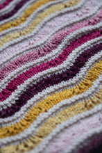 Load image into Gallery viewer, Merry Little Christmas - 6x20g DK Minis Set