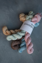 Load image into Gallery viewer, Ice Cream Minis Set 5x20g