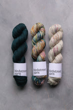 Load image into Gallery viewer, What am I?... a TRAITOR! - 4ply hand dyed yarn