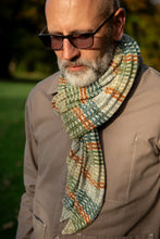 Load image into Gallery viewer, Beachcomber Minis Set - 4ply - 5x20g minis