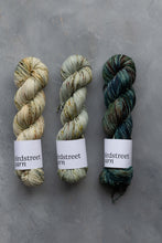 Load image into Gallery viewer, Beachcomber - DK - Hand-dyed yarn