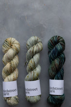 Load image into Gallery viewer, Kelp - DK - Hand-dyed yarn