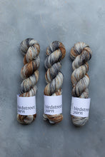 Load image into Gallery viewer, Kestrel - 4ply - Hand-dyed yarn