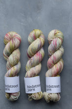 Load image into Gallery viewer, Last Night's Soirée - 4ply - Hand-dyed yarn