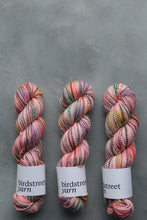 Load image into Gallery viewer, Little Scamp - 4ply Zebra