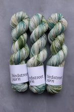 Load image into Gallery viewer, Lovely Shrubbery - 4ply - Hand-dyed yarn