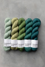 Load image into Gallery viewer, Mallard - 4ply - Hand-dyed yarn