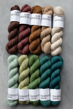 Load image into Gallery viewer, Mallard - 4ply - Hand-dyed yarn