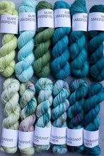 Load image into Gallery viewer, Doyouthinkhesaurus? 4ply hand-dyed yarn