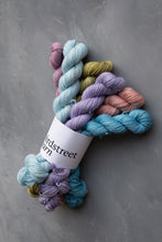 Load image into Gallery viewer, Mermaid's Purse Minis Set - 4ply - 6x20g minis
