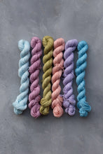 Load image into Gallery viewer, Mermaid's Purse Minis Set - 4ply - 6x20g minis