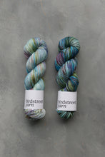 Load image into Gallery viewer, Mermaid's Purse - 4ply - Hand-dyed yarn
